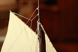 _ROYAL_CAROLINE_154.jpg