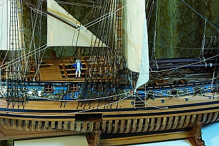 _ROYAL_CAROLINE_212.jpg