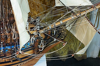 _ROYAL_CAROLINE_216.jpg