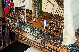 _ROYAL_CAROLINE_217.jpg