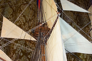 _ROYAL_CAROLINE_222.jpg