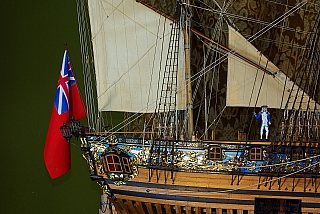 _ROYAL_CAROLINE_225.jpg