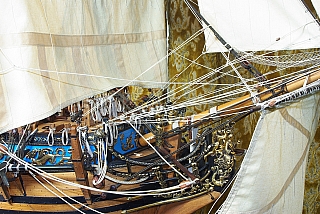 _ROYAL_CAROLINE_227.jpg