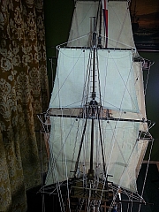 _ROYAL_CAROLINE_246.jpg