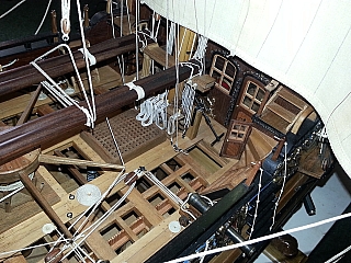 _ROYAL_CAROLINE_267.jpg